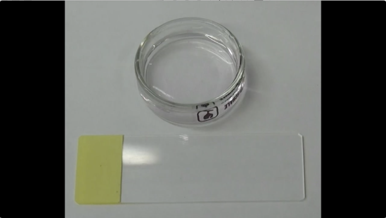 DNAをつかう〜バイオテクノロジーと医用工学〜 – 関西大学