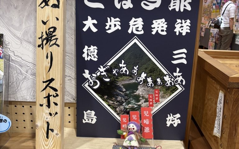観光地のぬいどりスポット