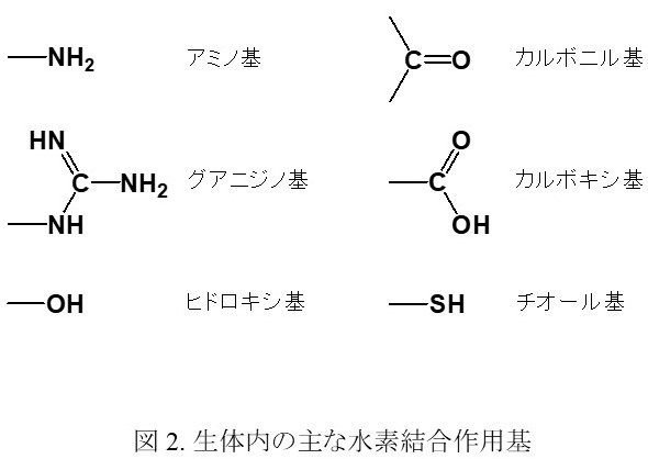 研究背景  分子認識化学研究室