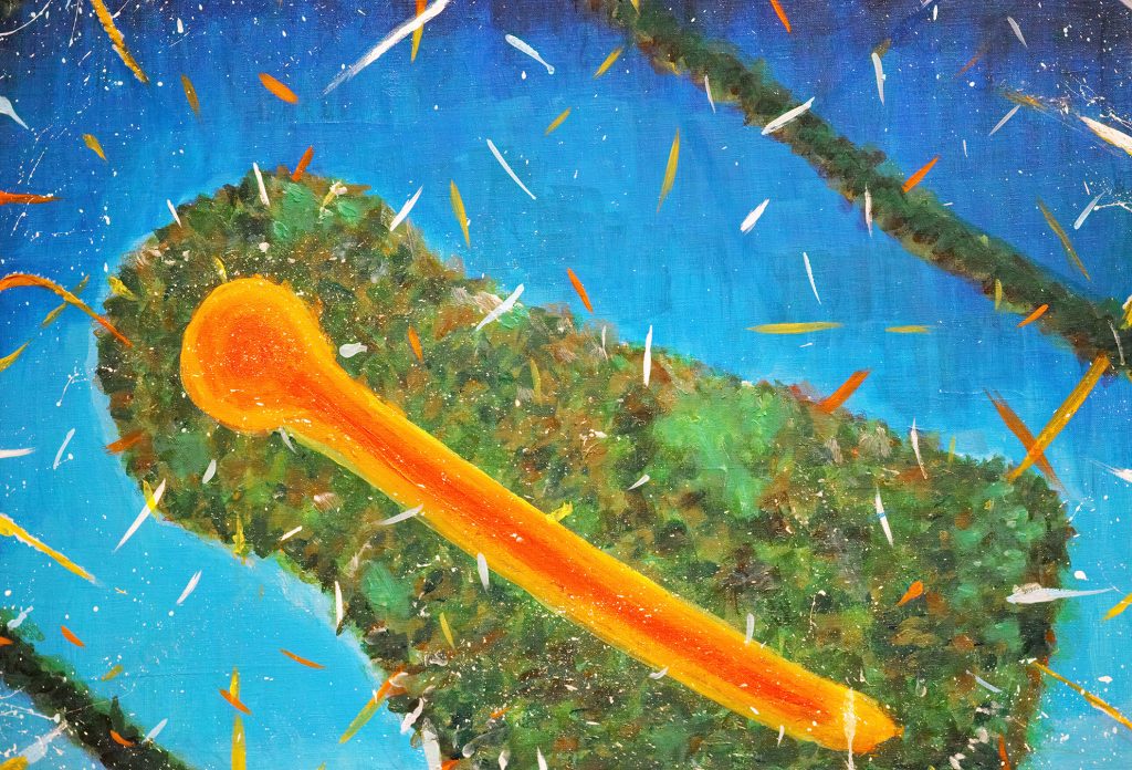 みゅおん様 （みゅおん様確認ページ） 