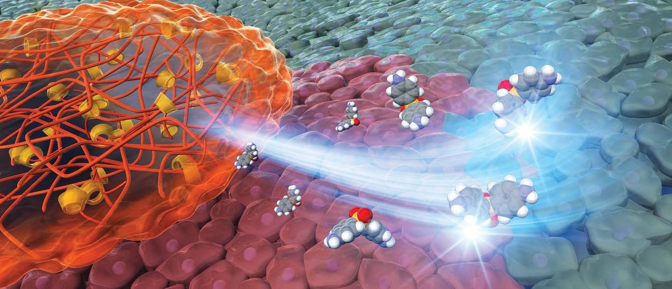 第71回高分子研究発表会(神戸)にて研究発表を行いました。 – Advanced Polymer Chemistry Lab.